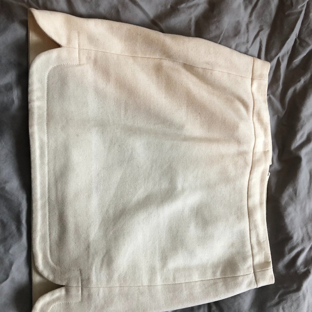 LOFT Skirt